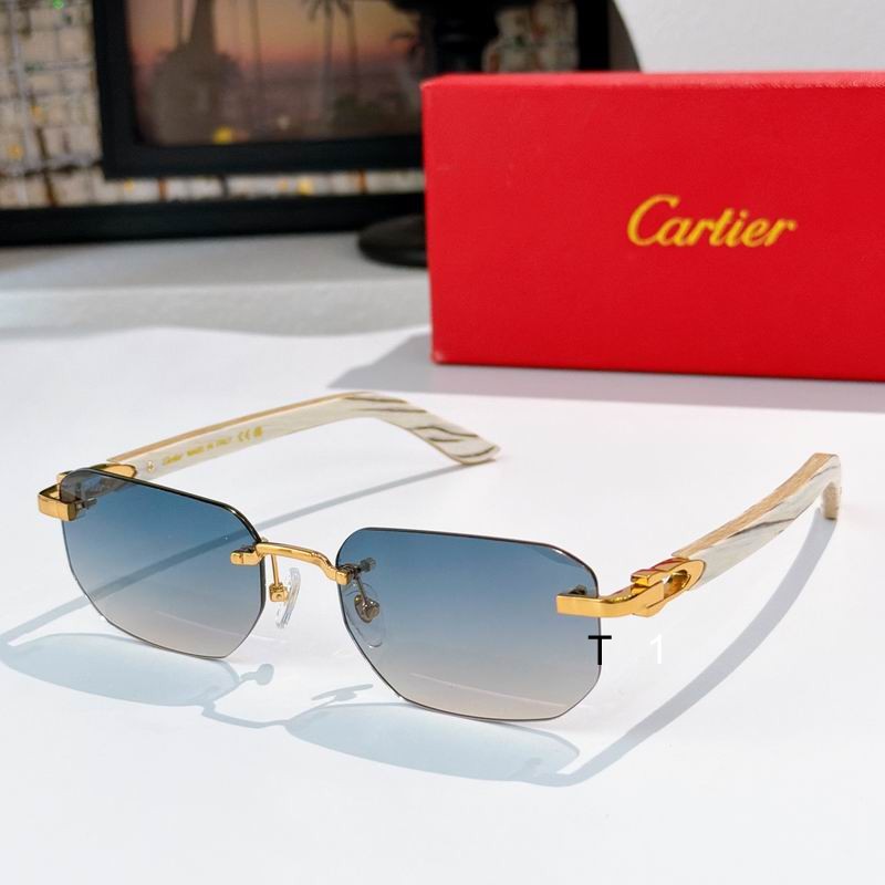 Cartier CT0622S 56 19-145 a